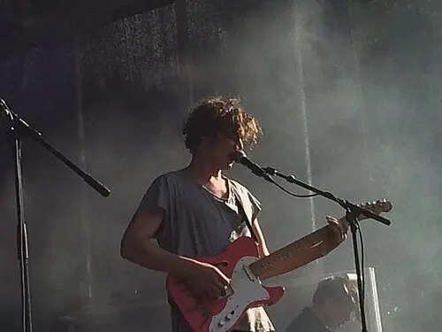 Lucas Hamming