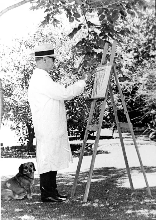 Stephanus Le Roux Marais