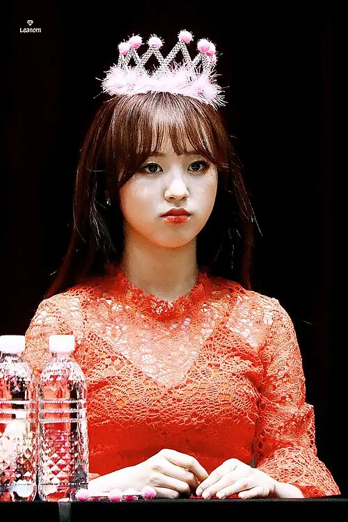 앤씨아