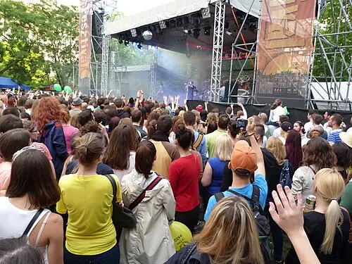 The Carbonfools