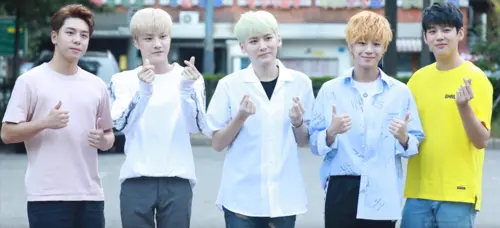 빅플로