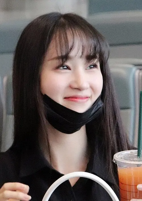 蒋芸