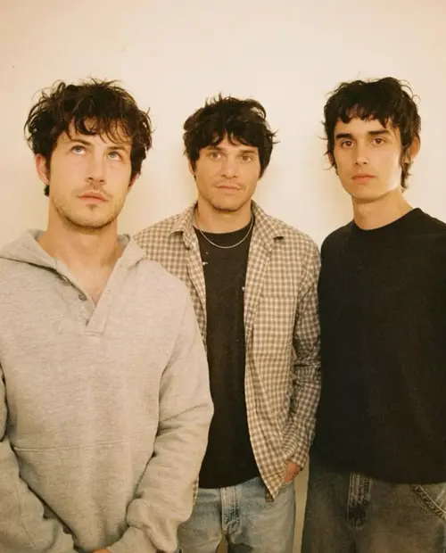 Wallows
