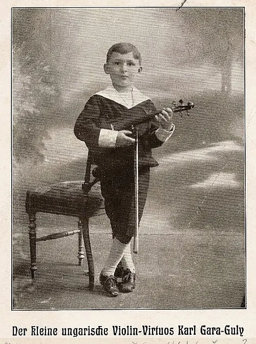 Carl von Garaguly