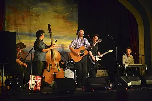 The Blackeyed Susans