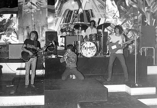 The Primitives