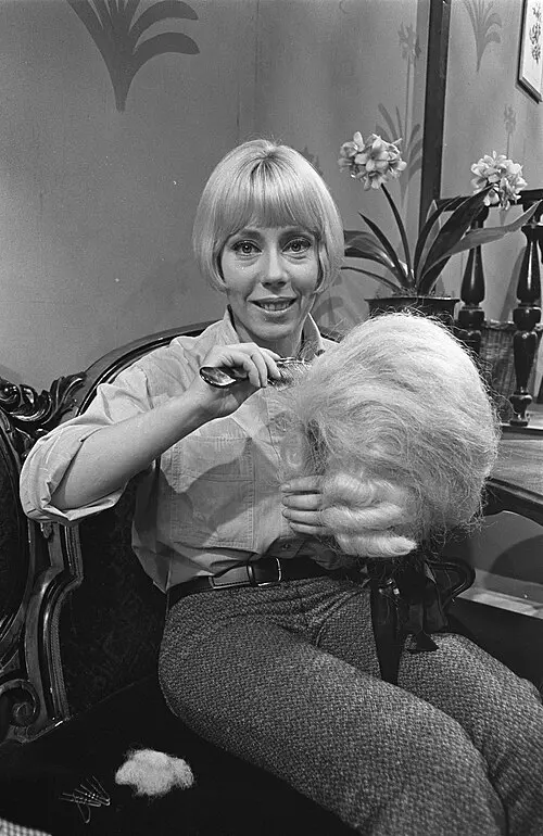 Carla Lipp