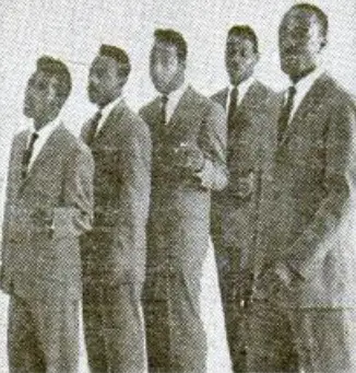 The Tams