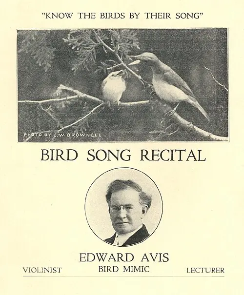 Edward Avis