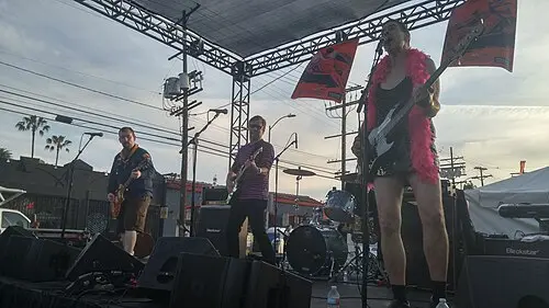 Pansy Division