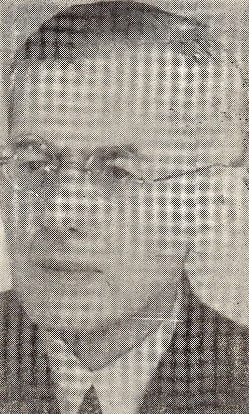 Adolf Chybiński