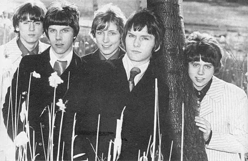 The Hounds