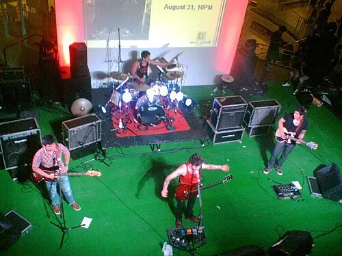 Callalily