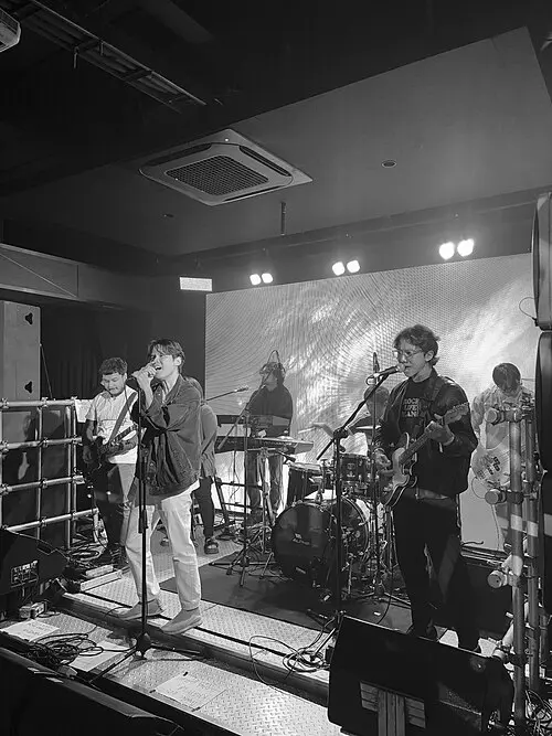 Sajama Cut