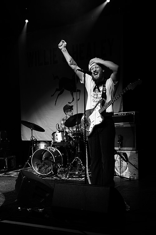 Willie J Healey