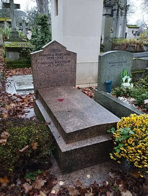 Geneviève Fontanel