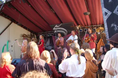 Die Streuner