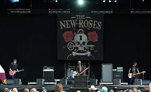 The New Roses
