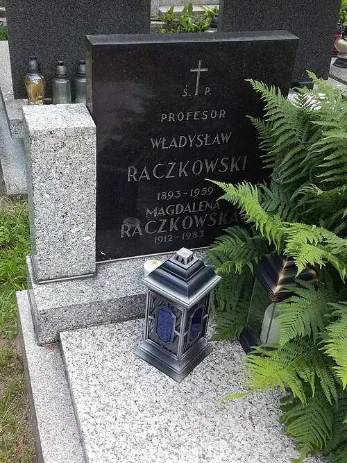 Władysław Raczkowski