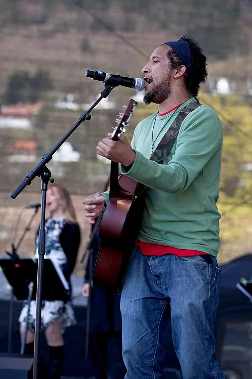 Stig van Eijk