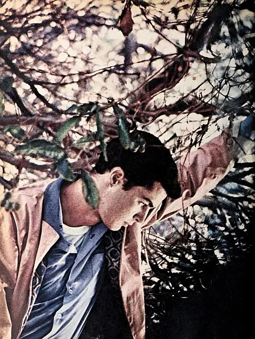 Richard Beymer