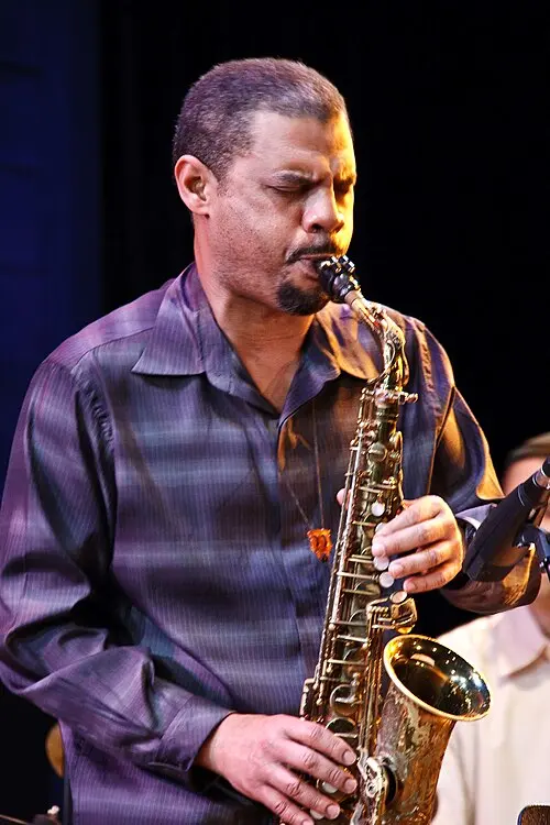 Steve Wilson