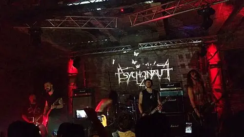Psychonaut 4