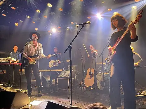 The Veils