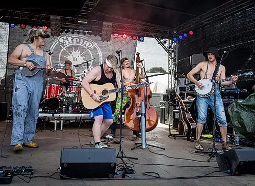 Steve ’n’ Seagulls