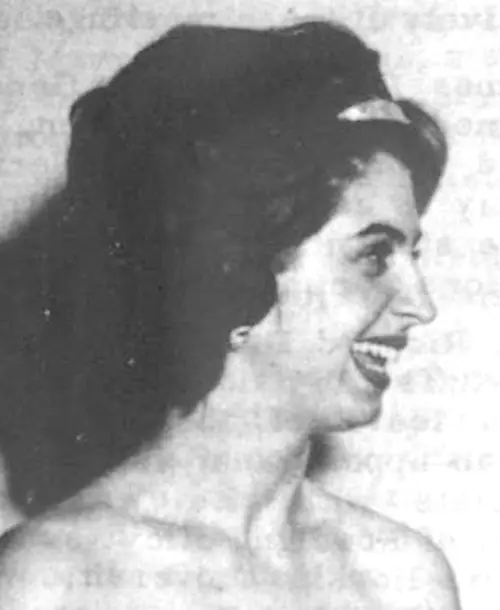 Ann Schein