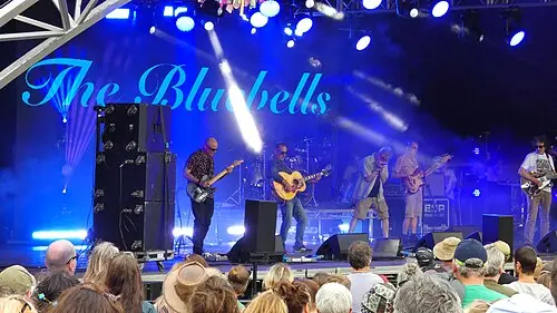 The Bluebells