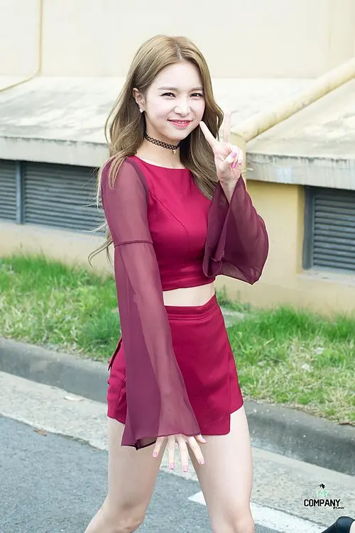재이