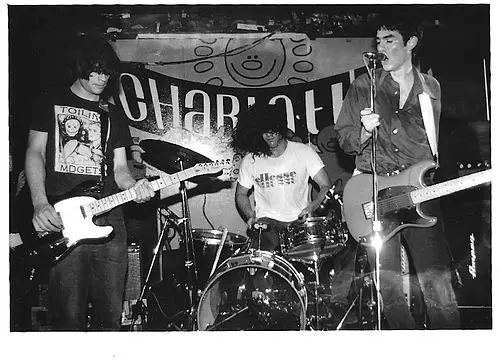 The Jon Spencer Blues Explosion