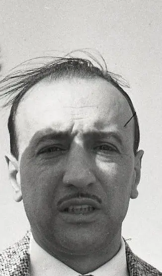 Carlo Alberto Rossi