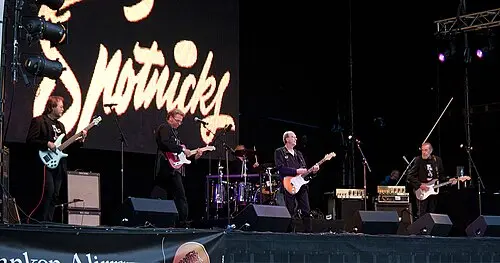 The Spotnicks