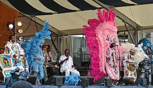 The Wild Magnolias