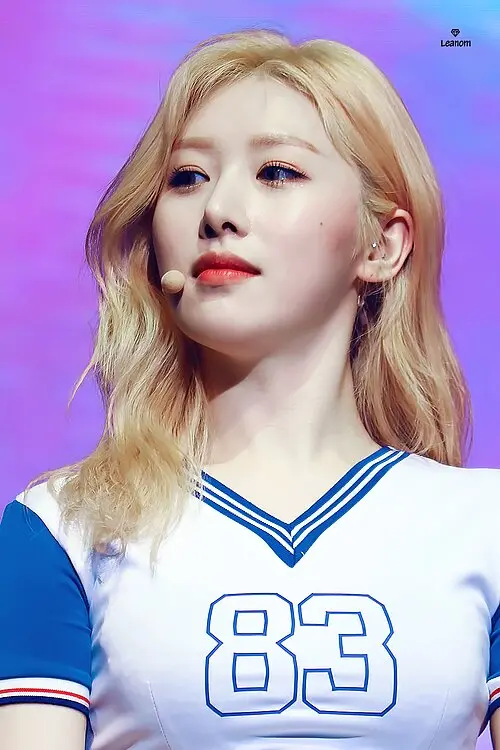 의진