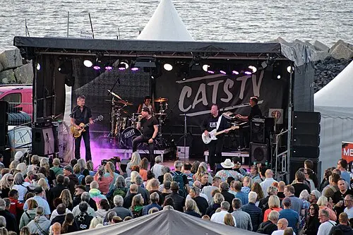 Cats TV
