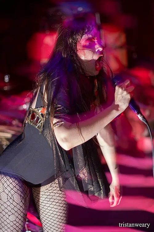 Le Butcherettes