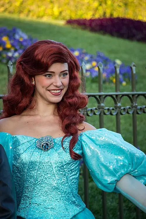 Ariel