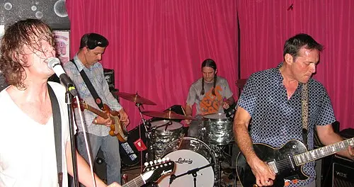 Hot Snakes