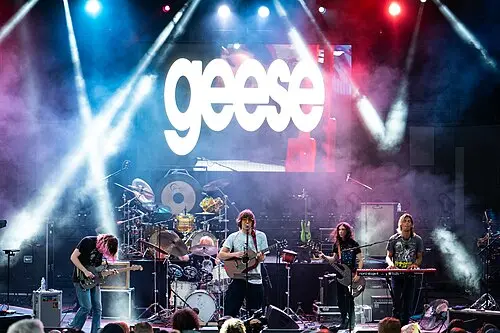 Geese