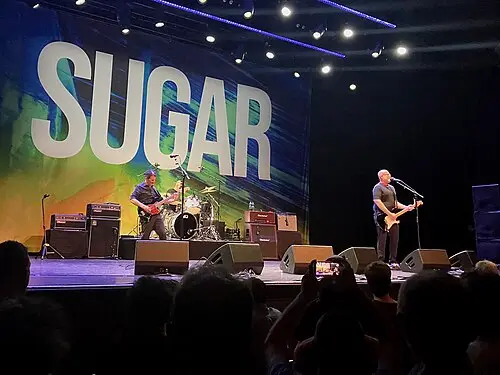 Sugar
