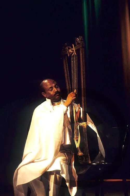 ናለሙ ኣጋ