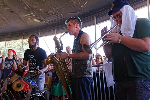 Too Many Zooz