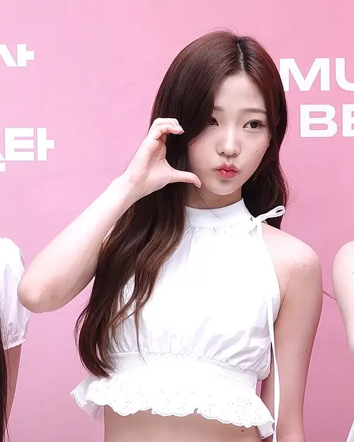 스텔라