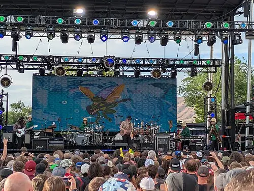 The Les Claypool Frog Brigade