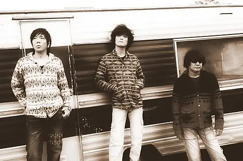 the pillows
