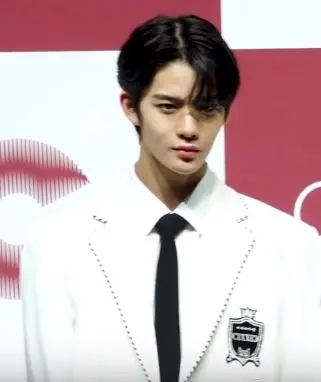 배진영