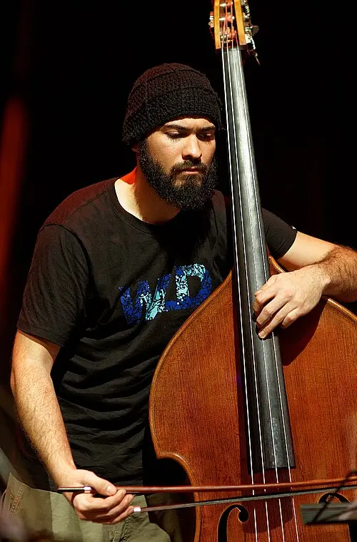 Reza Askari-Motlagh